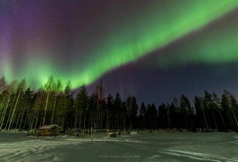 استراحتگاه Old Pine Husky Lodge