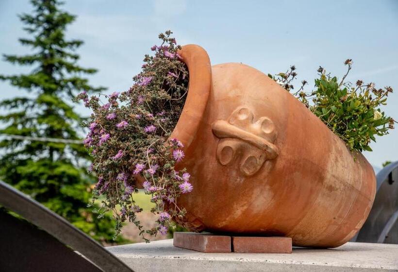 住宿加早餐  Da Zia Piera