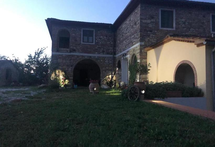 Bed and Breakfast Podere Il Sasso
