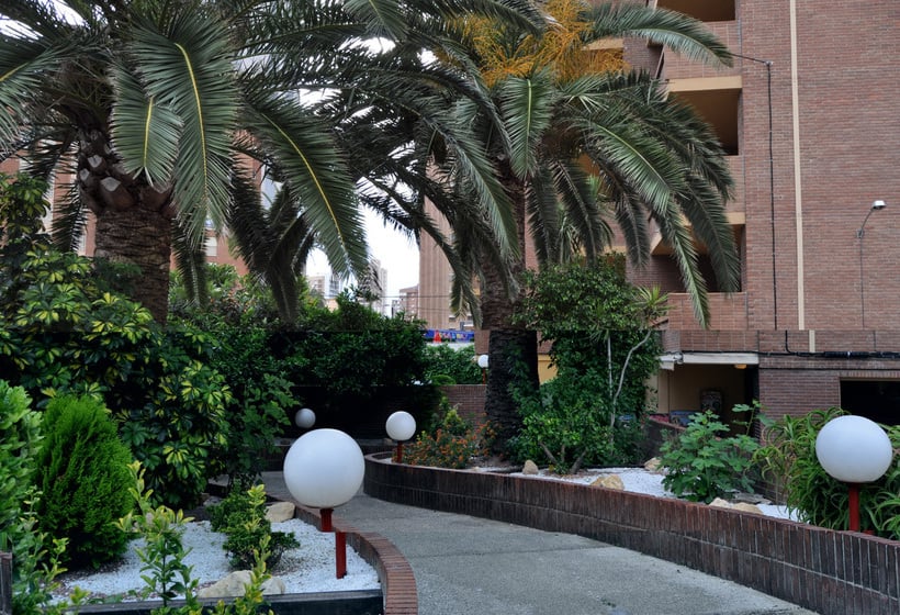 Apartamentos Trebol