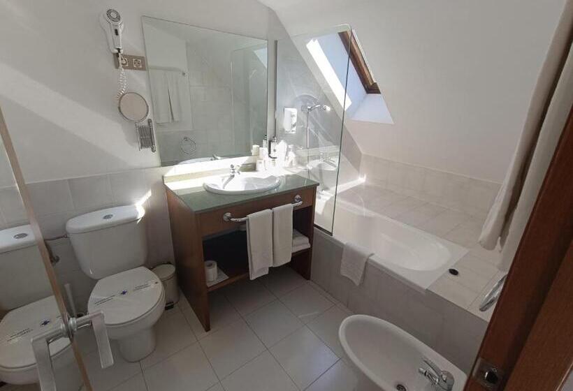 Fotos del hotel Aston:  13