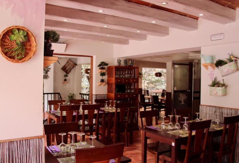 Fotos del hotel Aston:  27