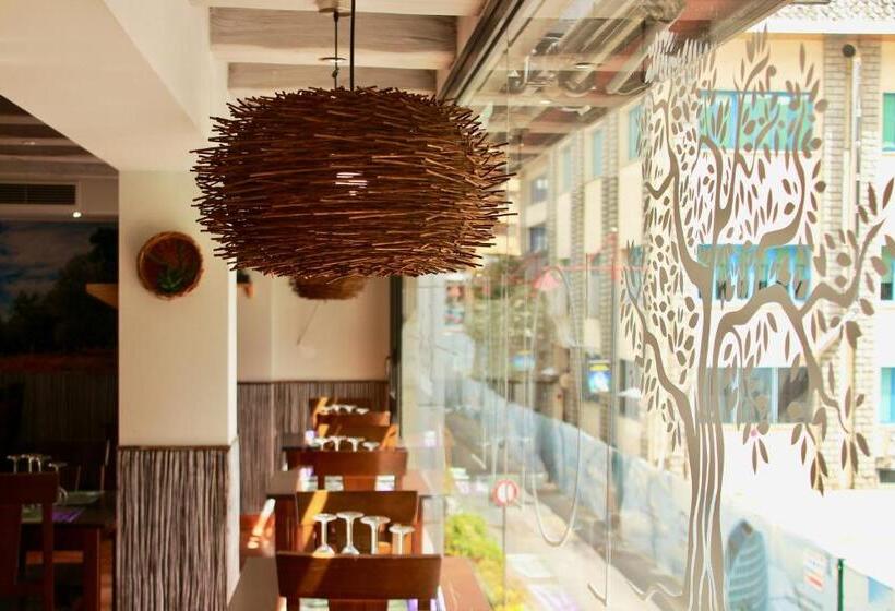 Fotos del hotel Aston:  18