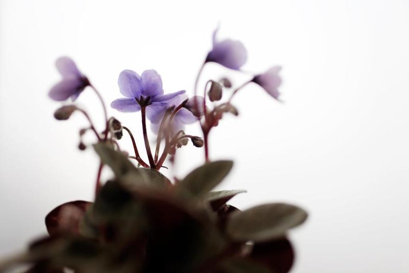 Fotos del hotel La Manufacture:  10