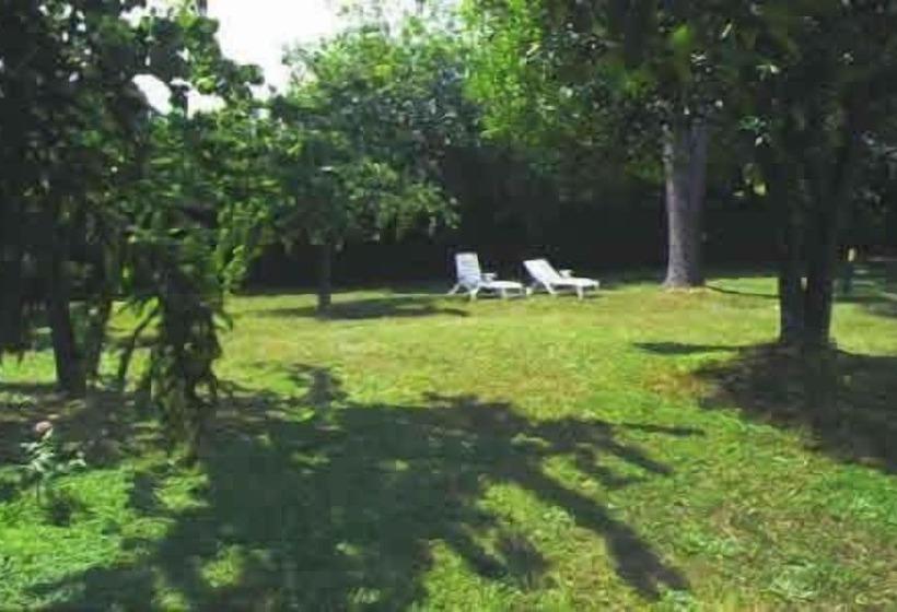 Fotos del hotel Park  Dei Massimi:  21