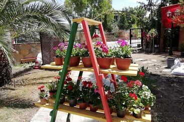 هتل Green House Boğaziçi – Dodo House