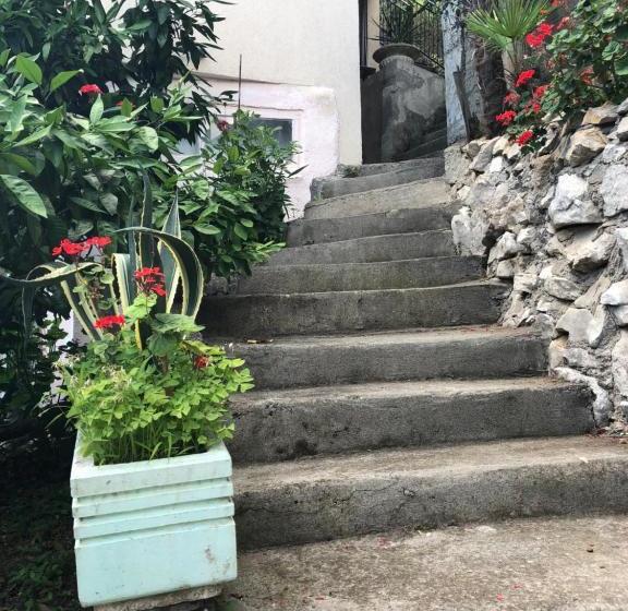 پانسیون панорама гагра