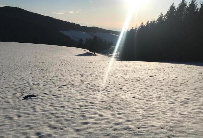 Waldhotel Auerhahn Hochkopfhaus