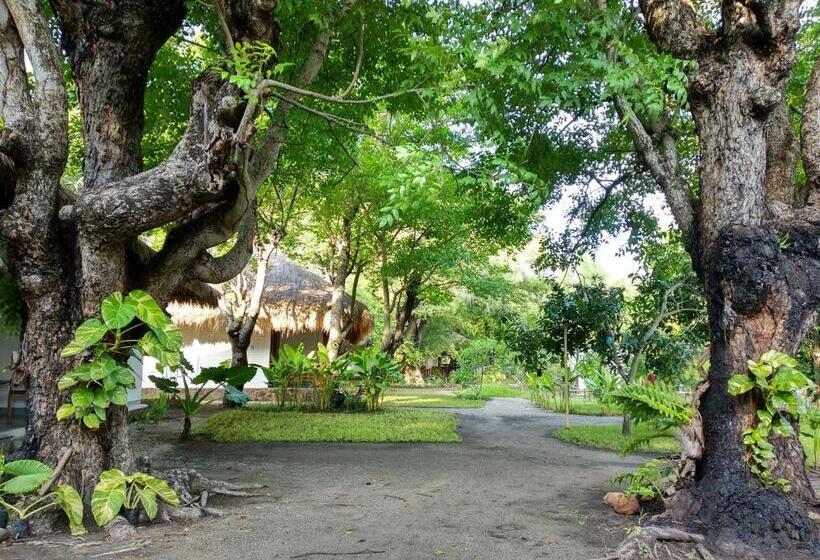 酒店 Amrita Maumere Resort