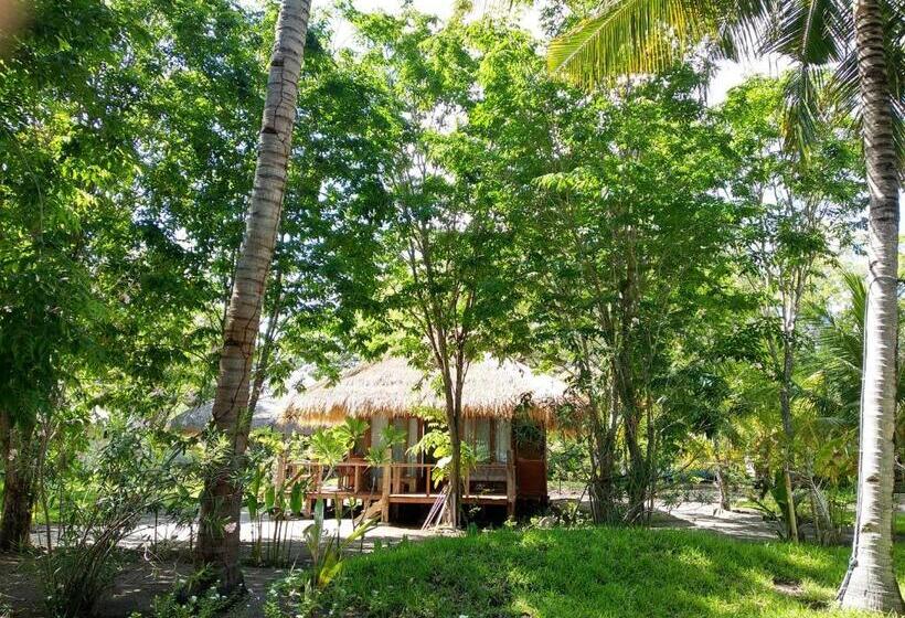 酒店 Amrita Maumere Resort