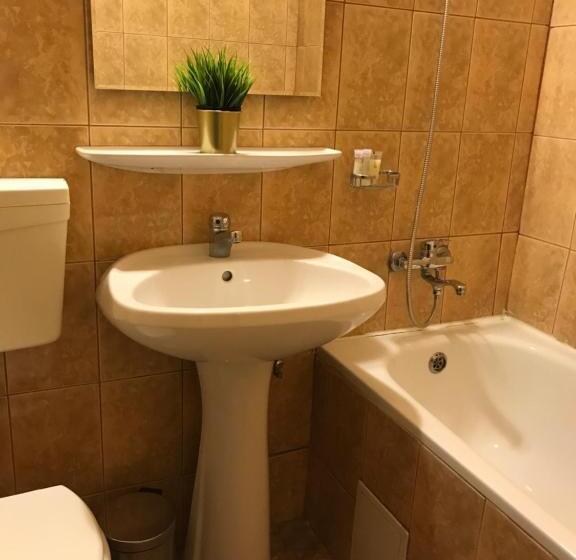 هتل Bucharest Downtown Inn