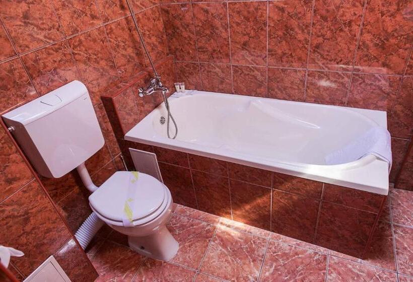 هتل Bucharest Downtown Inn
