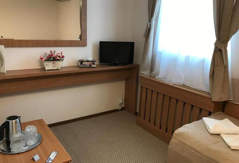 هتل Bucharest Downtown Inn