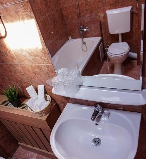 هتل Bucharest Downtown Inn