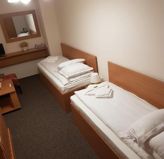 هتل Bucharest Downtown Inn