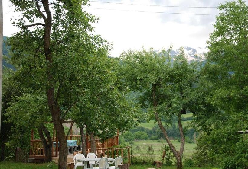 پانسیون Laila Guest House