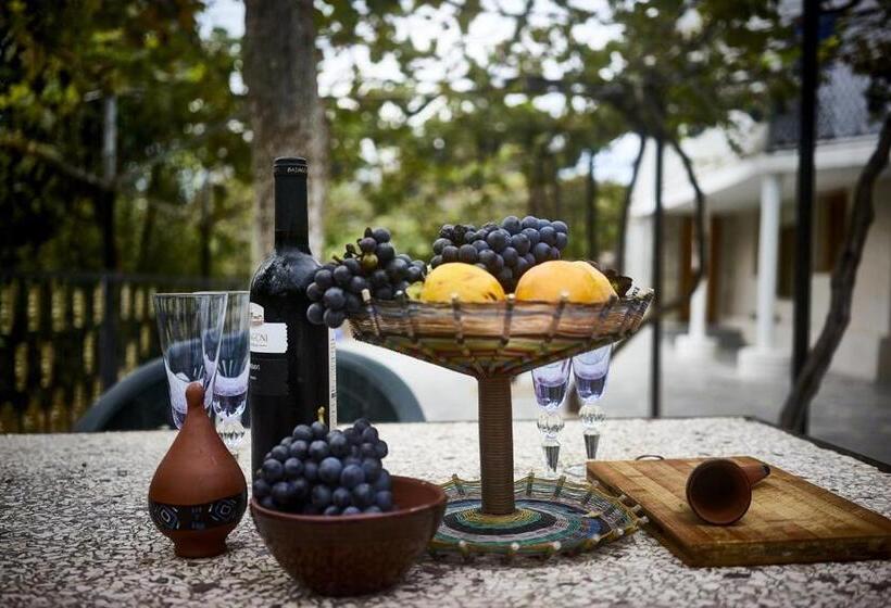 پانسیون Tsivi Tba