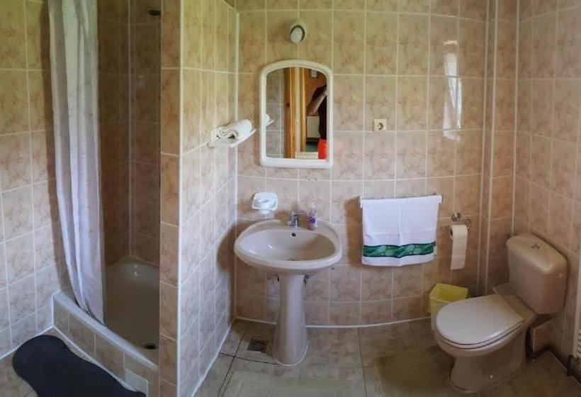 ペンション Voro Mold