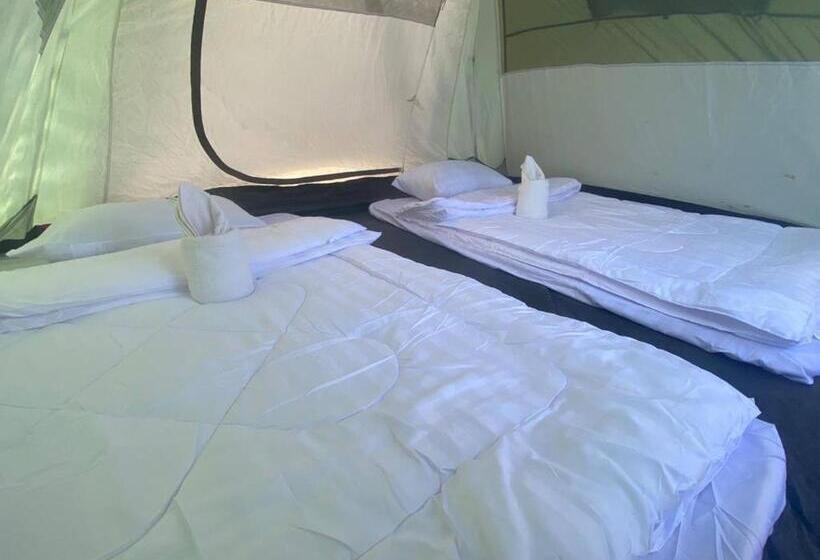 پانسیون Plankton Bungalow And Camping