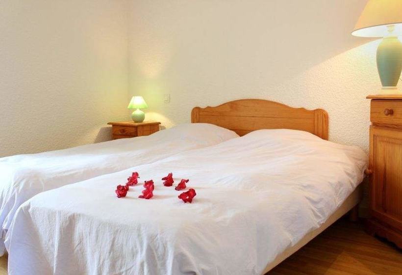 Rhodogites Du Goëlo  Rhododendron