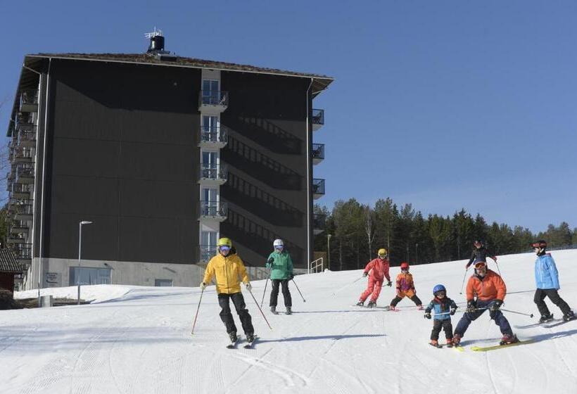 Bergshotellet
