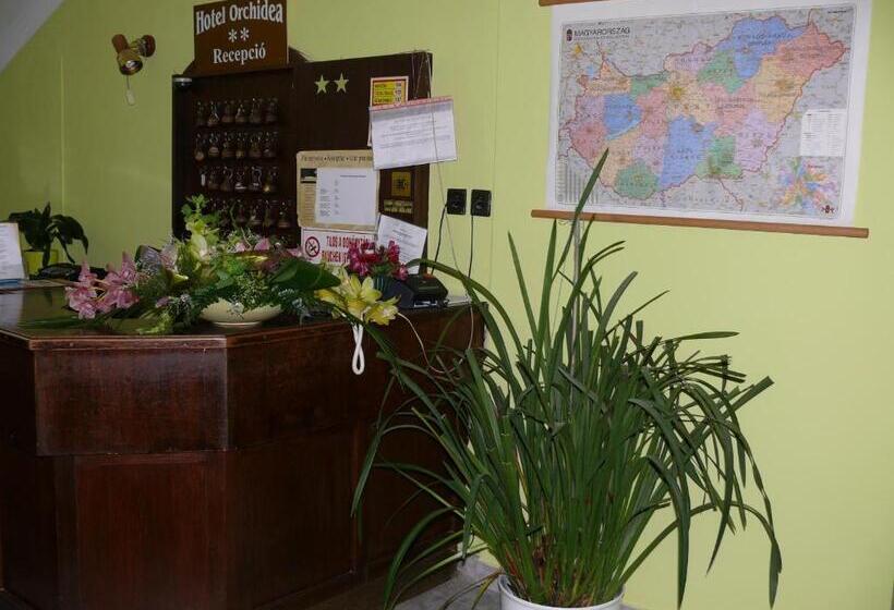 فندق Orchidea