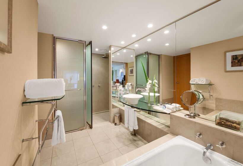 Fotos del hotel Melia Buenos Aires:  21