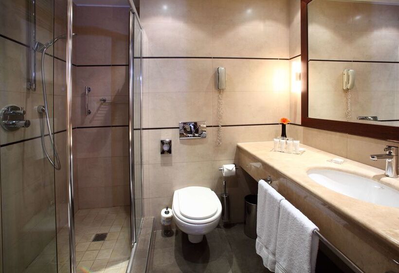 Fotos del hotel Starhotels Ritz:  57