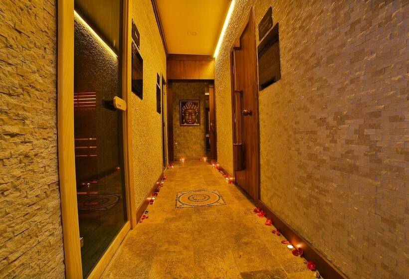 Fotos del hotel Lion:  33