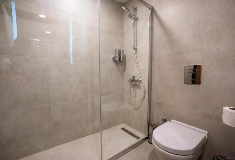 Fotos del hotel Lion:  46