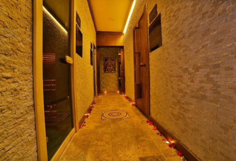 Fotos del hotel Lion:  25