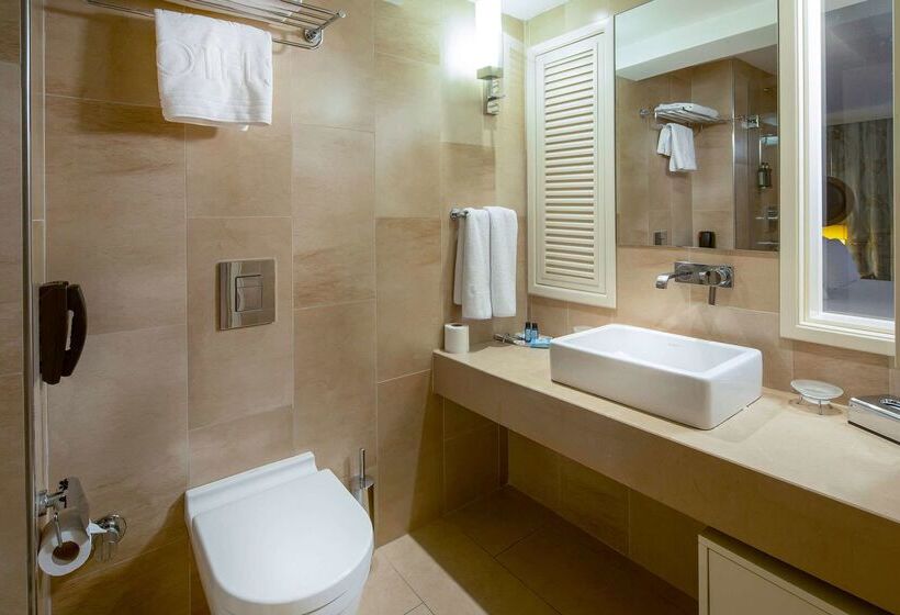 Fotos del hotel Titanic Comfort Sisli:  36