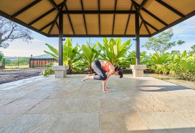 فندق Viveda Wellness Resort