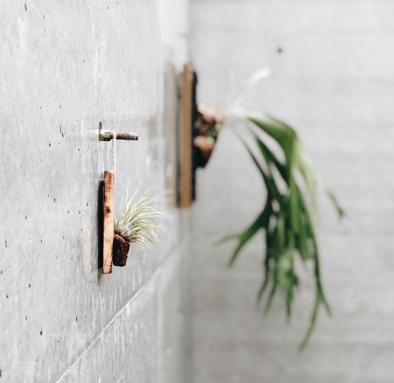 تختخواب و صبحانه Sunmiao Inn