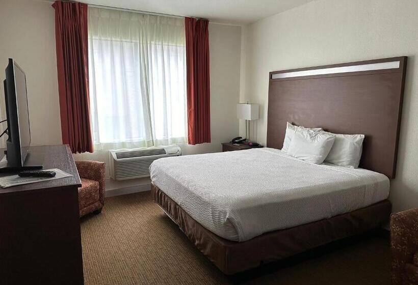 호텔 Comfort Inn & Suites Belton Temple South I 35