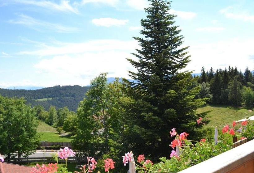 Отель Gasthof Zum Grünen Baum