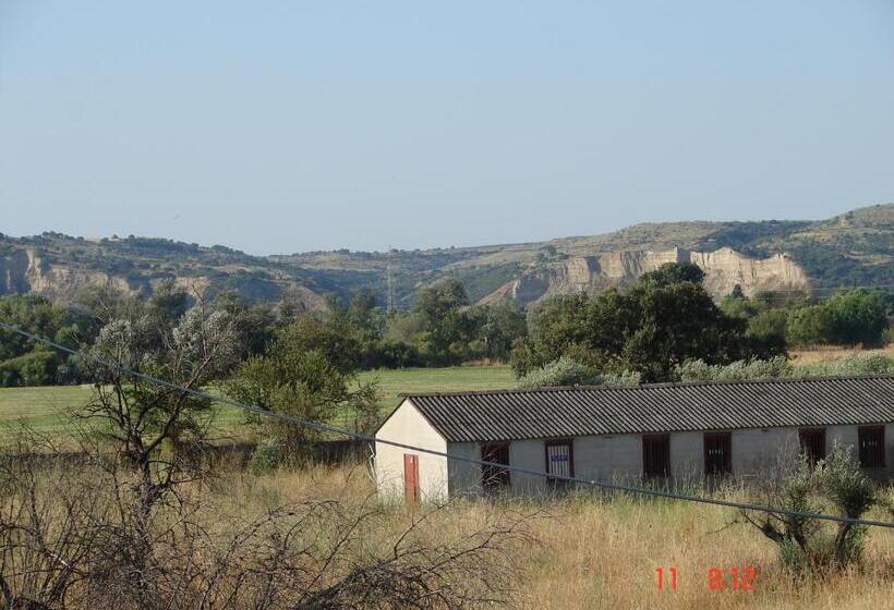 פנסיון Hostal Alfil