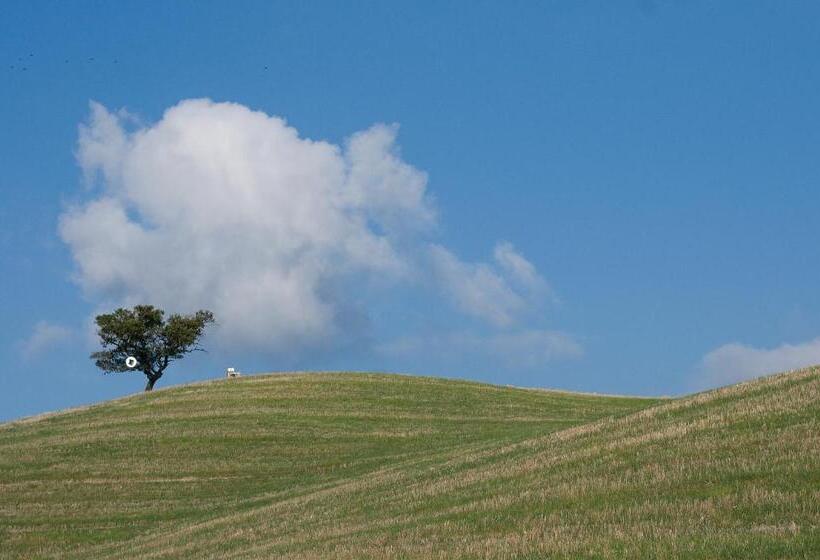 هتل Appartamento Girasole   Agriturismo Le Selvole