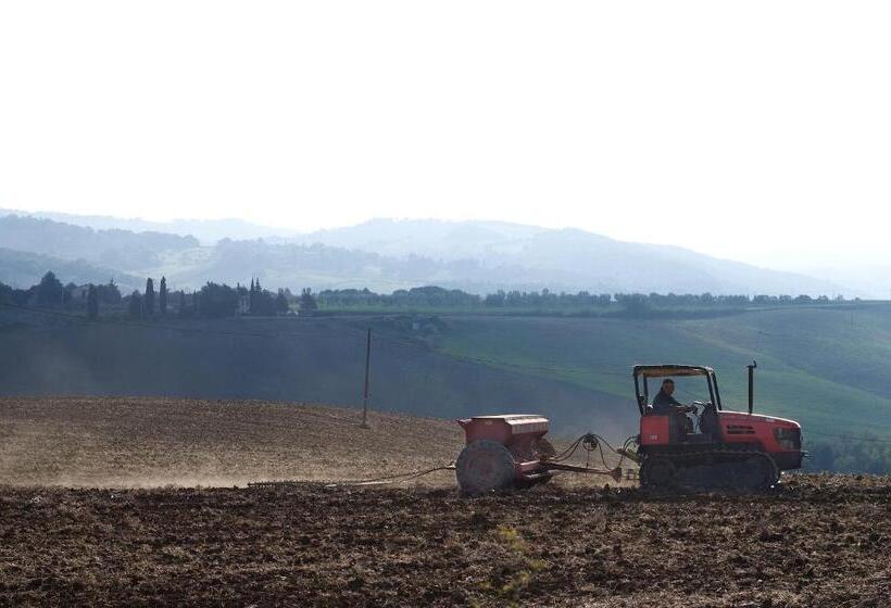 هتل Appartamento Girasole   Agriturismo Le Selvole