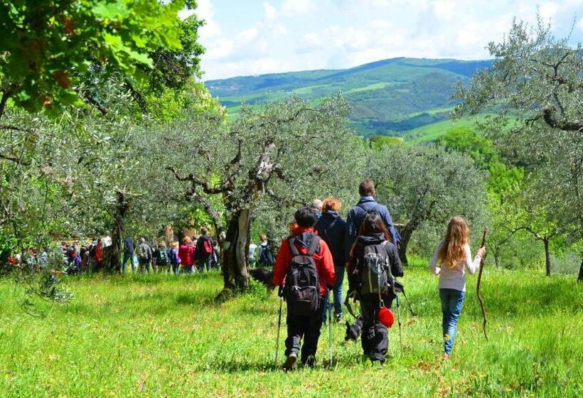 هتل Appartamento Girasole   Agriturismo Le Selvole