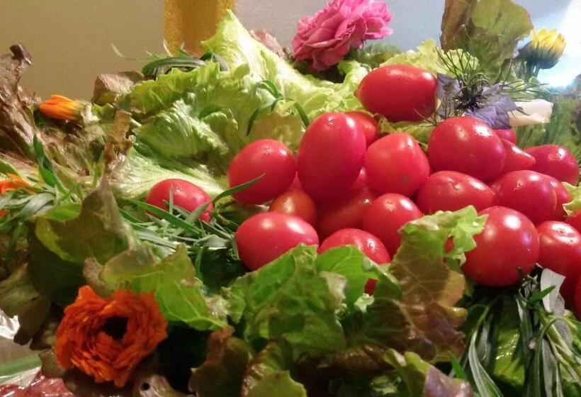 هتل Appartamento Girasole   Agriturismo Le Selvole