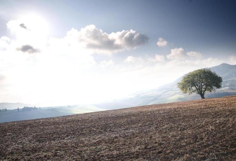 هتل Appartamento Girasole   Agriturismo Le Selvole