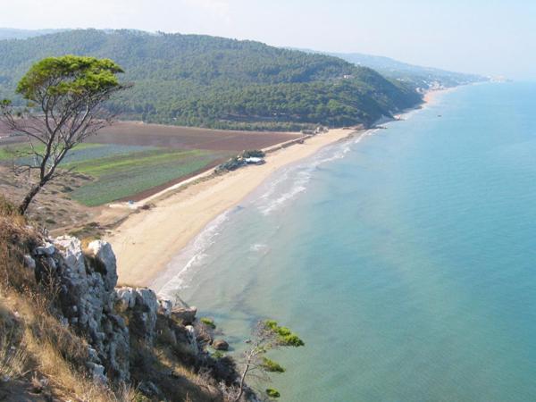 هتل Villa Nettuno