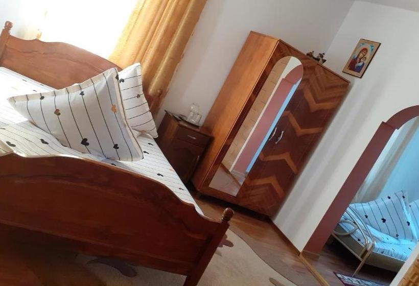 פנסיון Casa Nicoleta