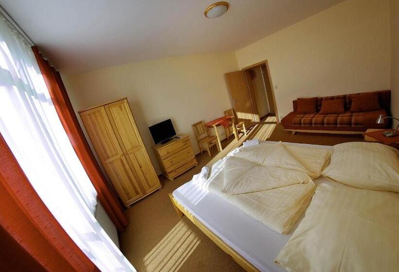 פנסיון Privat Galfy