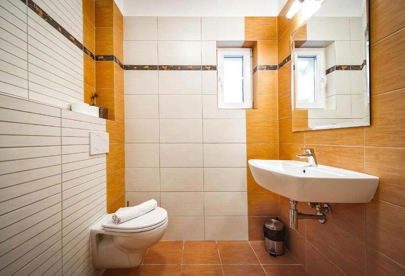 פנסיון Privat Galfy