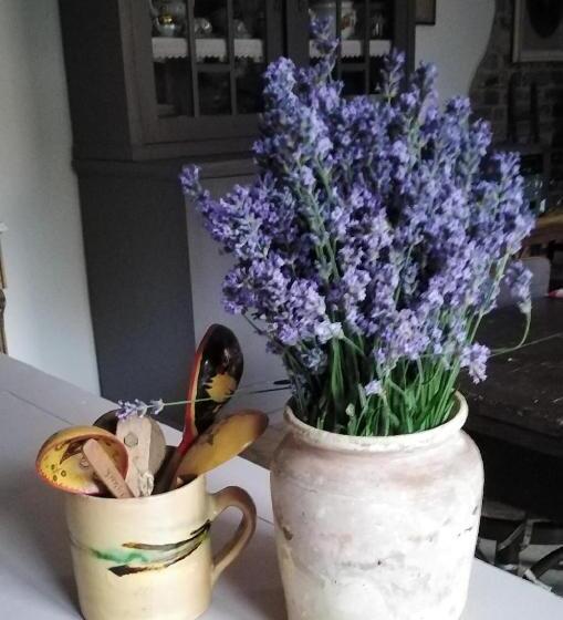 پانسیون Sobe Gajić Sremski Karlovci