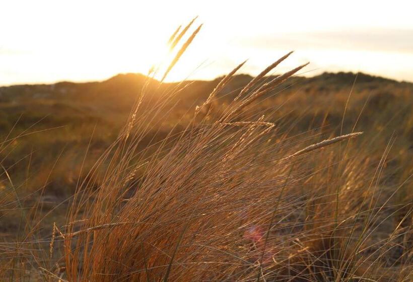 منتجع Résidence Terschelling