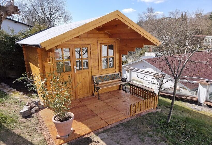 Ferienhaus Seestern