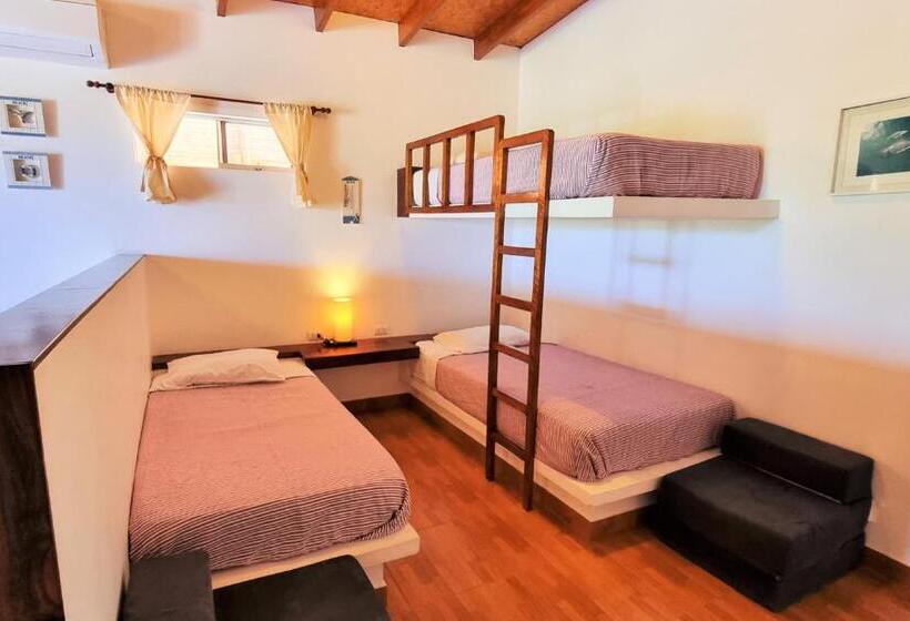 هتل Punta Del Norte Bungalows